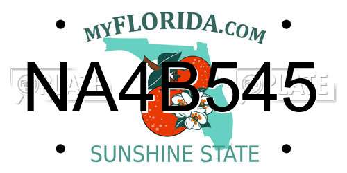 NA4B545 Florida License Plate