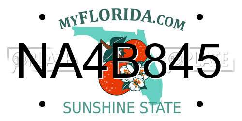 NA4B845 Florida License Plate