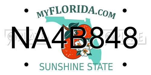 NA4B848 Florida License Plate