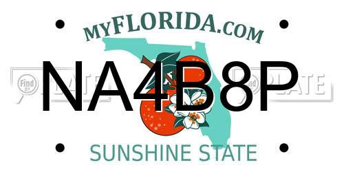 NA4B8P Florida License Plate