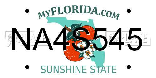 NA4S545 Florida License Plate