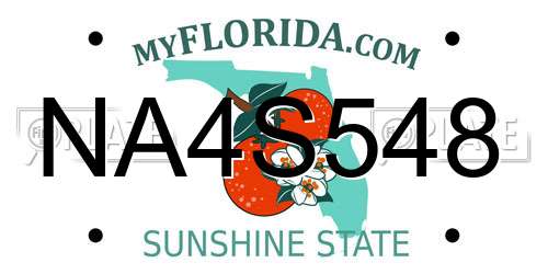 NA4S548 Florida License Plate