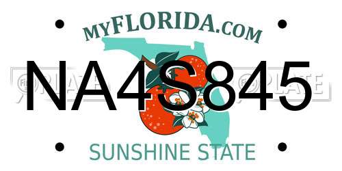 NA4S845 Florida License Plate