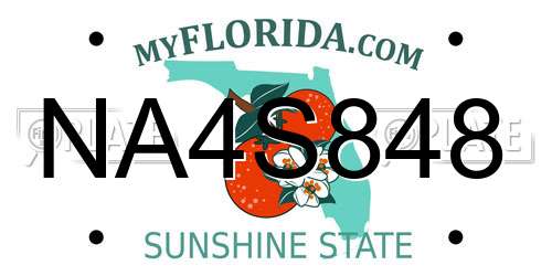 NA4S848 Florida License Plate