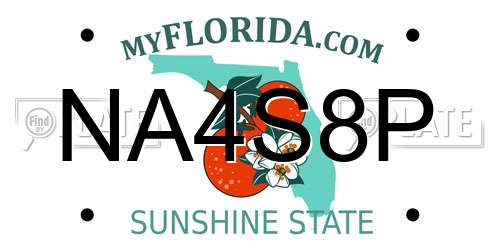 NA4S8P Florida License Plate