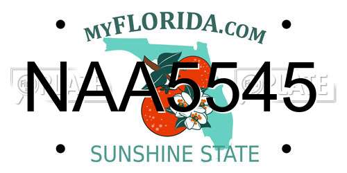 NAA5545 Florida License Plate