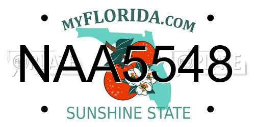 NAA5548 Florida License Plate