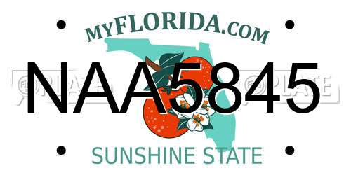 NAA5845 Florida License Plate