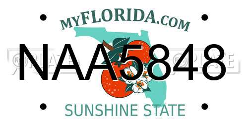 NAA5848 Florida License Plate
