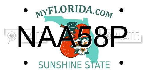 NAA58P Florida License Plate