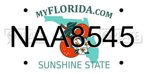 NAA8545 Florida License Plate