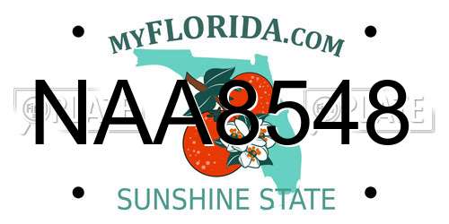 NAA8548 Florida License Plate