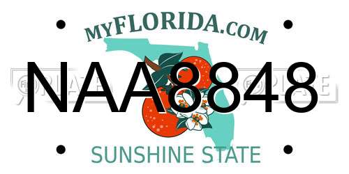 NAA8848 Florida License Plate
