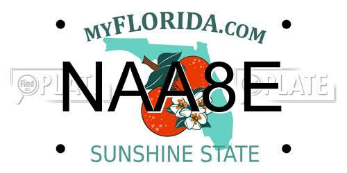 NAA8E Florida License Plate