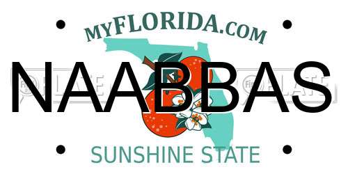 NAABBAS Florida License Plate