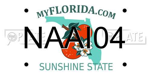 NAAI04 Florida License Plate