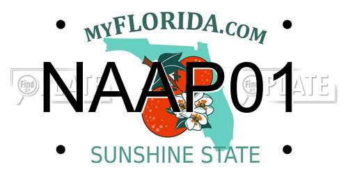 NAAP01 Florida License Plate