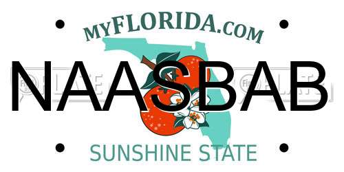 NAASBAB Florida License Plate