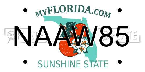 NAAW85 Florida License Plate