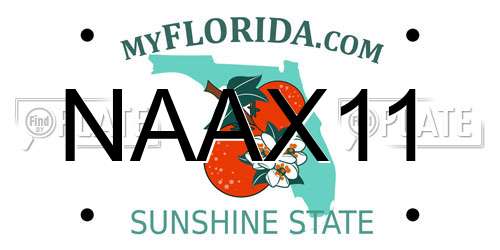 NAAX11 Florida License Plate