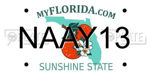 NAAY13 Florida License Plate