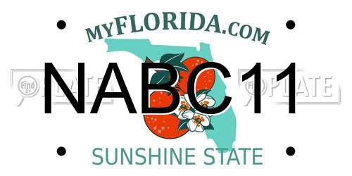 NABC11 Florida License Plate