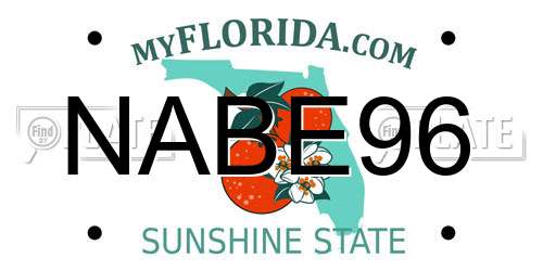 NABE96 Florida License Plate
