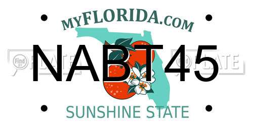 NABT45 Florida License Plate