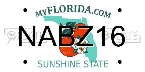 NABZ16 Florida License Plate
