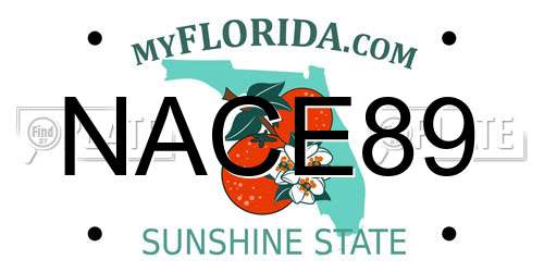 NACE89 Florida License Plate
