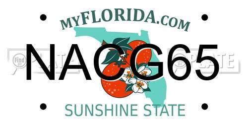 NACG65 Florida License Plate