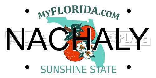 NACHALY Florida License Plate