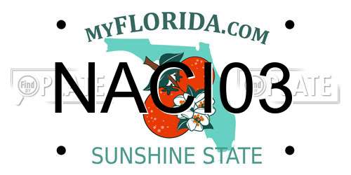 NACI03 Florida License Plate