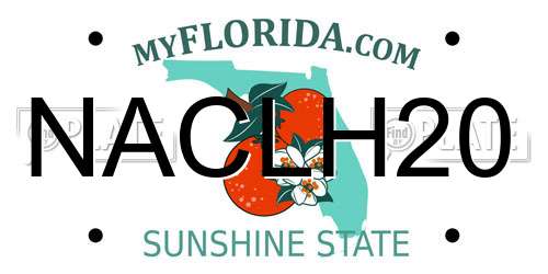 NACLH20 Florida License Plate