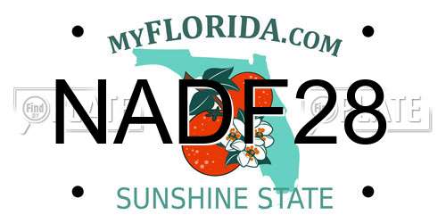 NADF28 Florida License Plate
