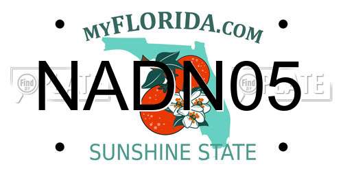 NADN05 Florida License Plate