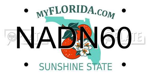 NADN60 Florida License Plate