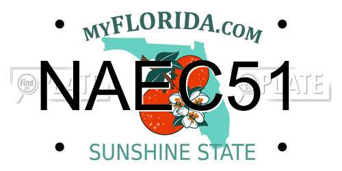 NAEC51 Florida License Plate