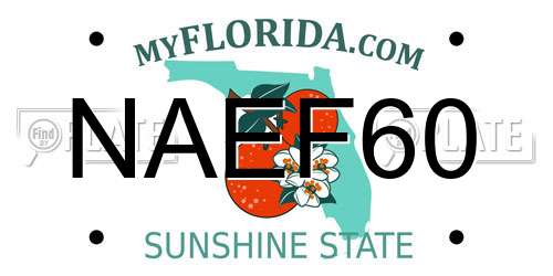 NAEF60 Florida License Plate