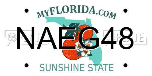 NAEG48 Florida License Plate