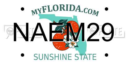 NAEM29 Florida License Plate
