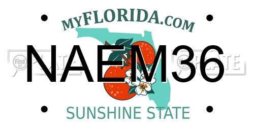 NAEM36 Florida License Plate