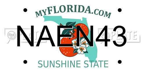 NAEN43 Florida License Plate