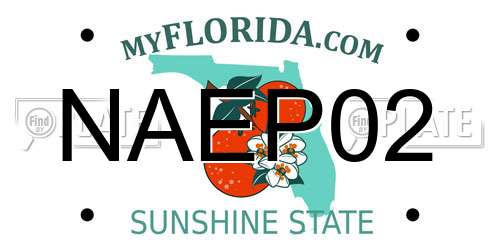 NAEP02 Florida License Plate