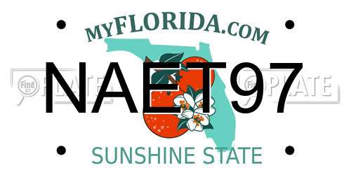 NAET97 Florida License Plate
