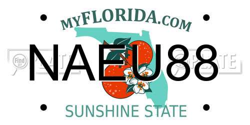 NAEU88 Florida License Plate