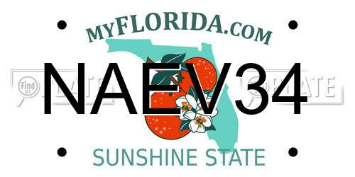 NAEV34 Florida License Plate