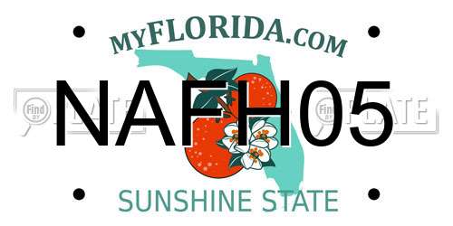 NAFH05 Florida License Plate