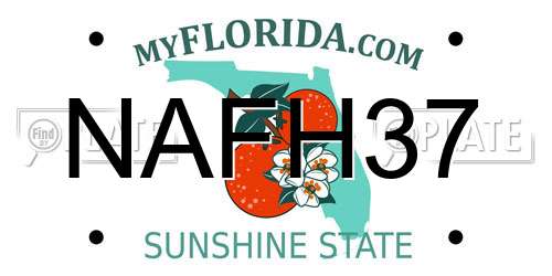NAFH37 Florida License Plate