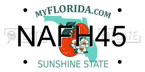 NAFH45 Florida License Plate
